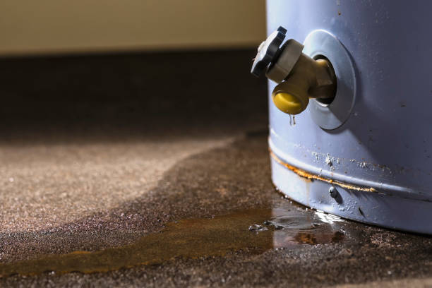 Best Mold removal after water damage  in Spotswood, NJ