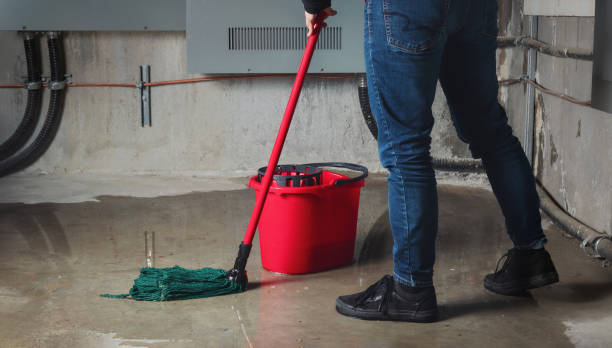 Best Local water damage restoration  in Spotswood, NJ