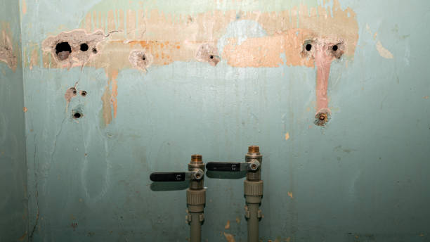 Best Water damage restoration near me  in Spotswood, NJ