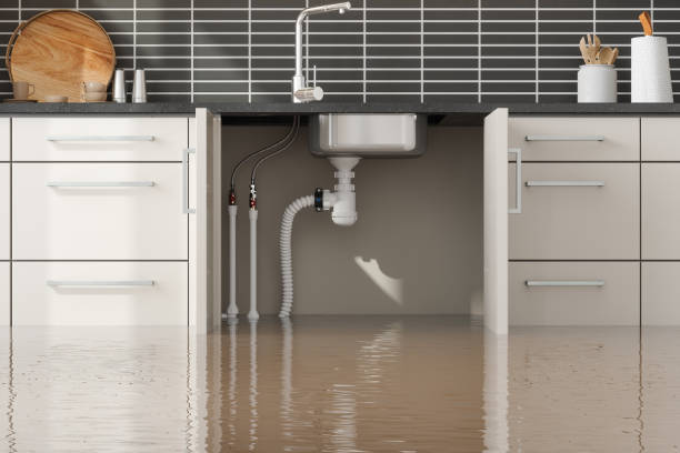 Best Fire Damage Restoration  in Spotswood, NJ