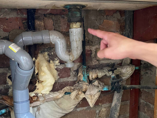 Best Mold removal after water damage  in Spotswood, NJ