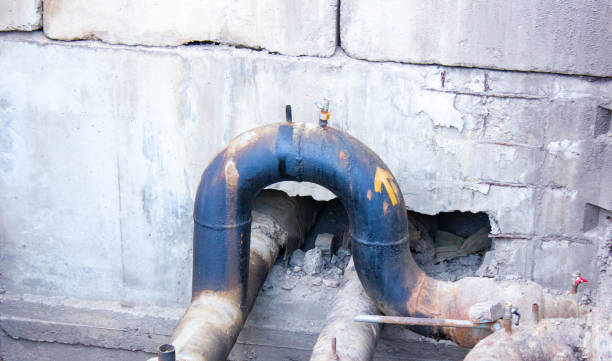 Best Professional water damage repair  in Spotswood, NJ