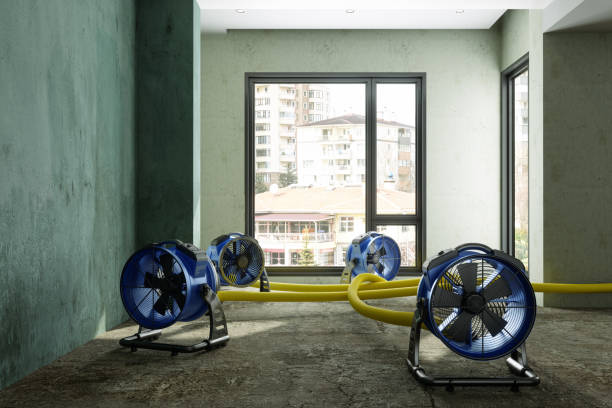 Best Ceiling water damage repair  in Spotswood, NJ