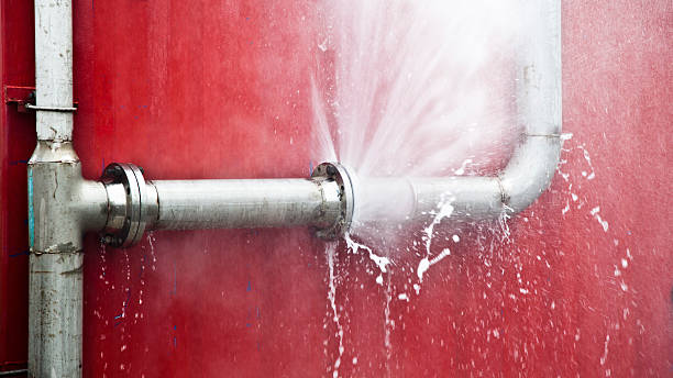 Best 24/7 water damage repair  in Spotswood, NJ